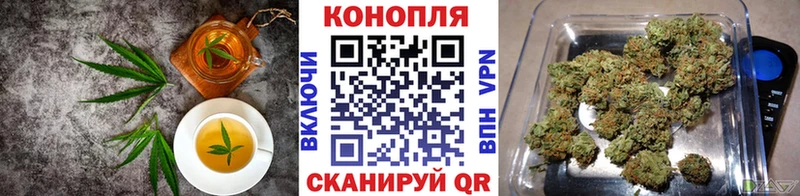 Cannafood марихуана  Шагонар 