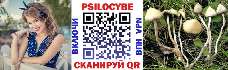 Псилоцибиновые грибы мицелий  Шагонар 